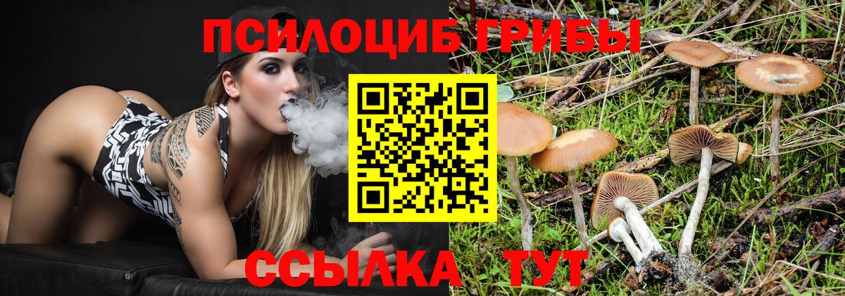 Шебекино  Псилоцибиновые грибы мухоморы  Вход с VPN  Галлюциногенные грибы MAGIC MUSHROOMS 