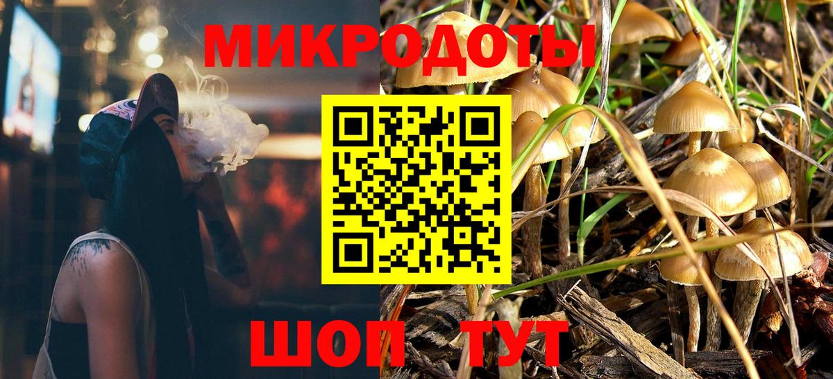 Псилоцибиновые грибы Psilocybine cubensis Шебекино